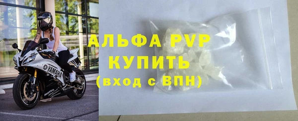 кокс Касимов